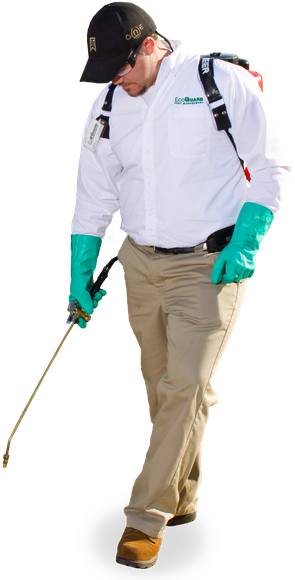 EDH Pest Control El Dorado Hills Pest Control