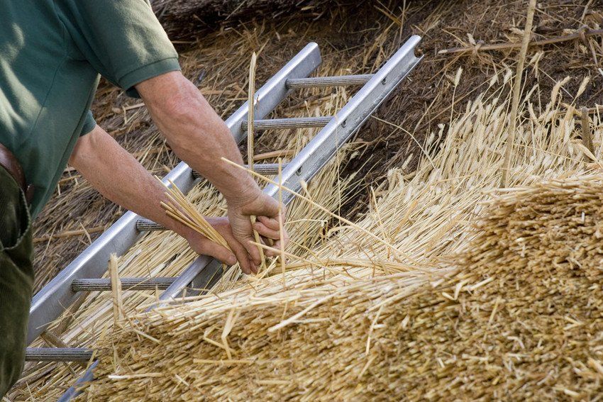 Thatching supplies