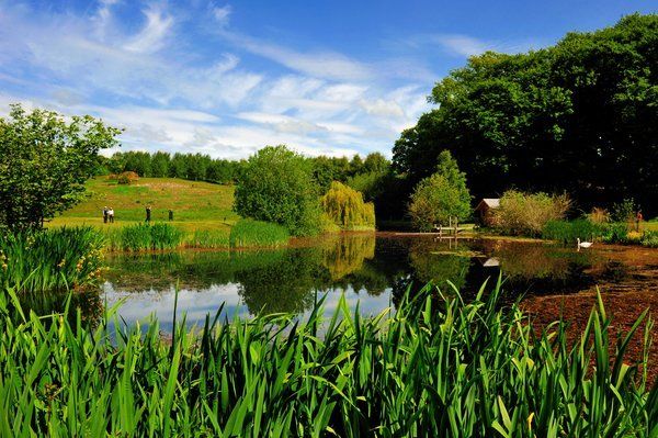 Strathmore valley golf course
