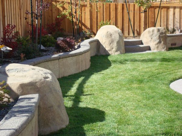A lush green lawn with a wooden fence in the background.