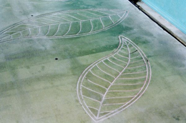 A drawing of two leaves on a green surface.
