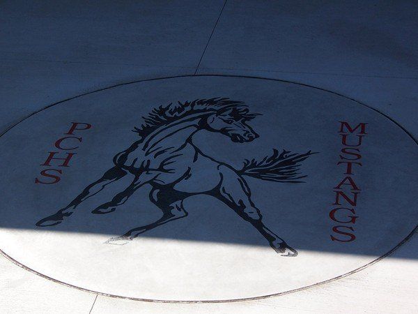 A mustangs logo is painted on the ground