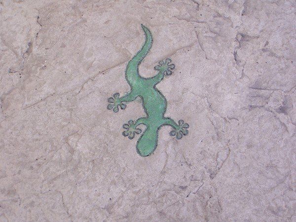 A green lizard is painted on a white surface