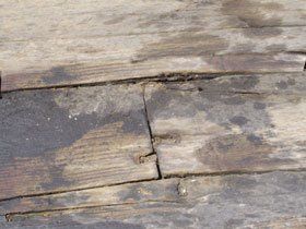 Damp roof - Lowestoft, Suffolk - Erad Ltd - Wooden Damp roof - Lowestoft, Suffolk - Erad Ltd - Wooden