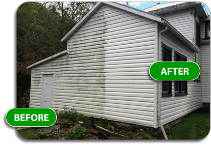 siding cleaning