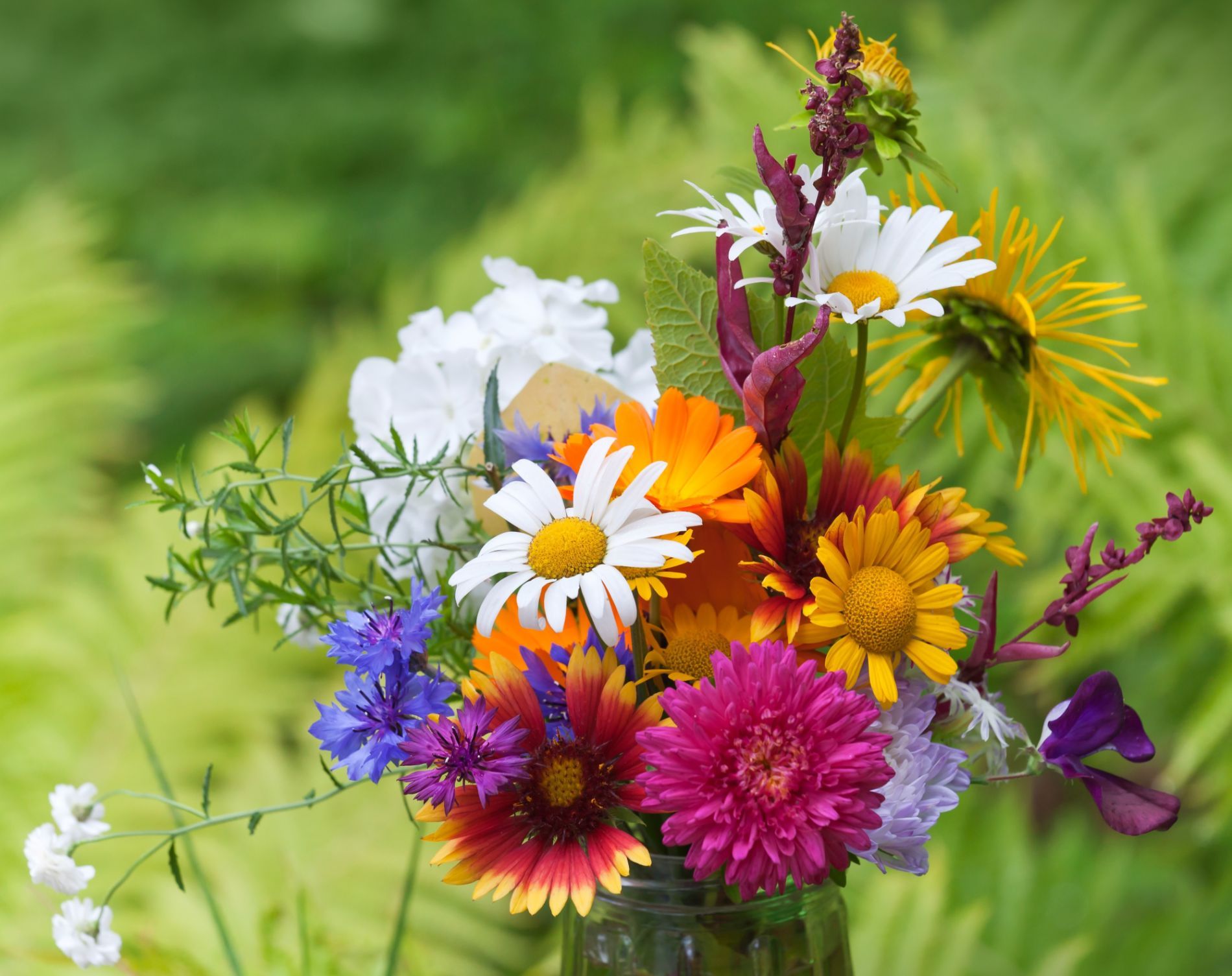 bouquet di margherite