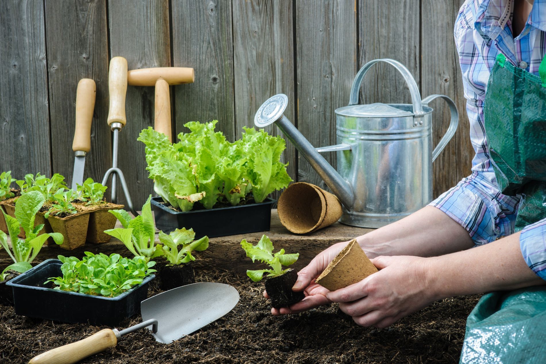 attrezzi per il giardinaggio