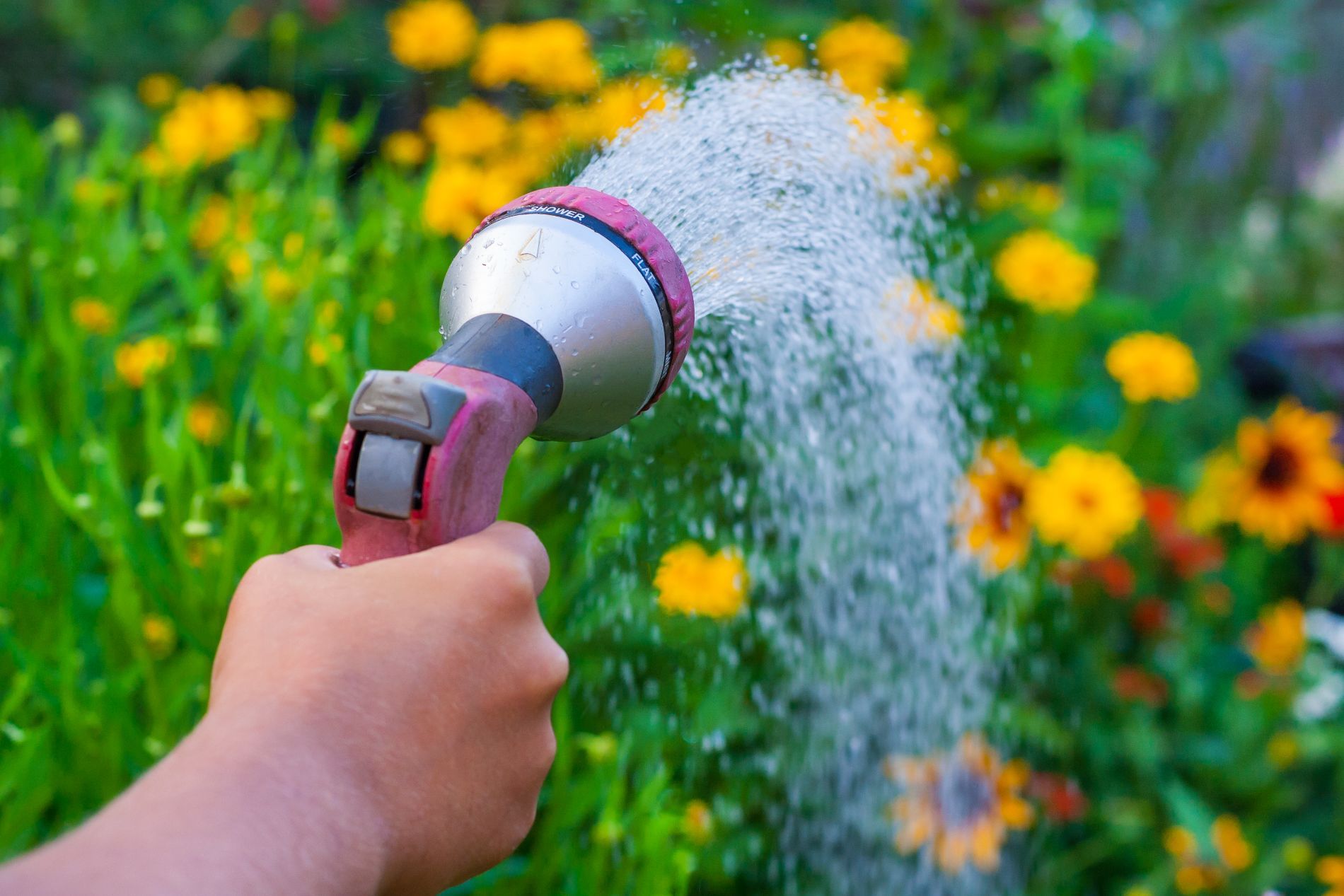 attrezzatura per annaffiare il giardino