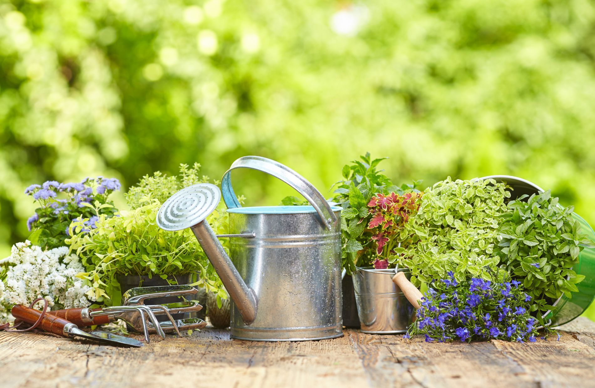 articoli per il giardinaggio