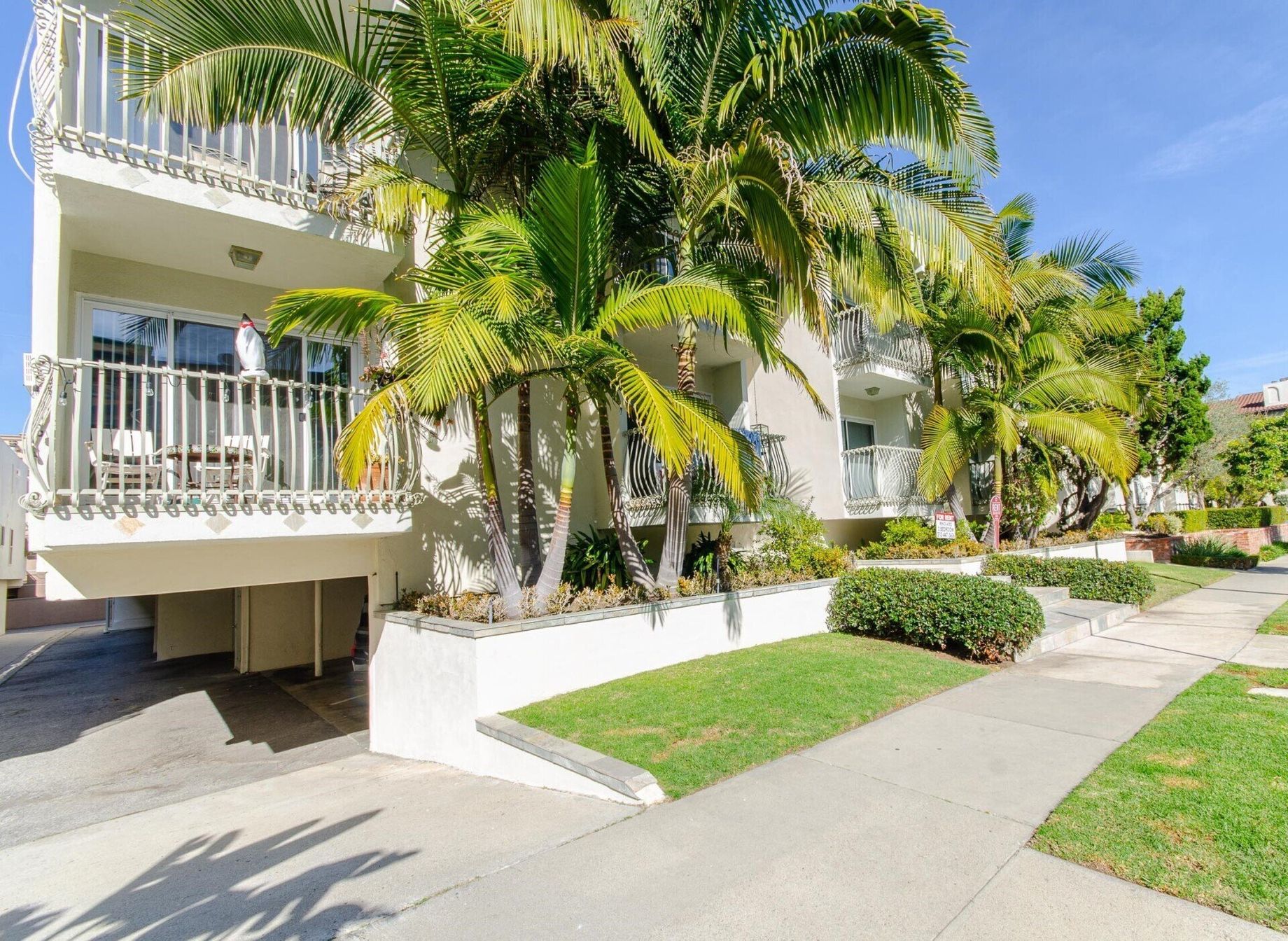 exterior with palms