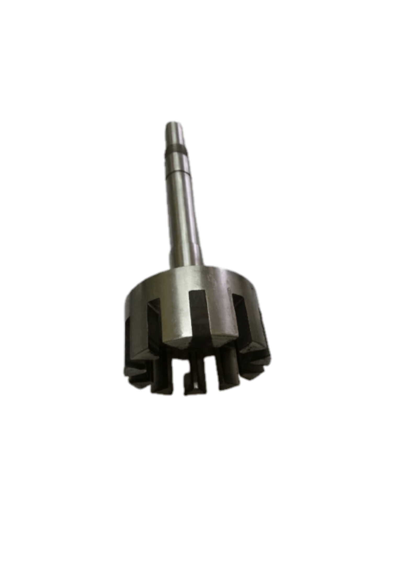 Water Gear Pump