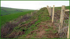 For garden fencing in Glenrothes call 07950 279 820 Argricultural fencing in a field