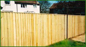 Timber fencing in a domestic garden