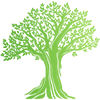 Total Care Tree Specialists Total Care Tree Specialists