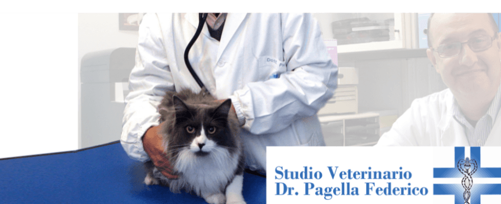 Studio Veterinario Dottor Pagella Federico Rapallo (GE) Studio Veterinario Dottor Pagella Federico Rapallo (GE)