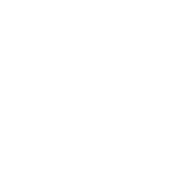 Briley Real Estate Logo