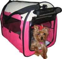 Pet Playtent Pet carrier cage light weight
