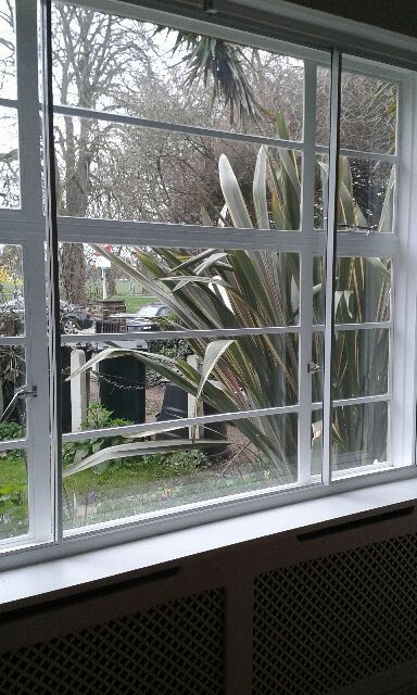 Metal window pane