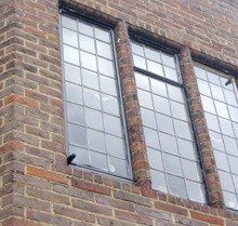 windows