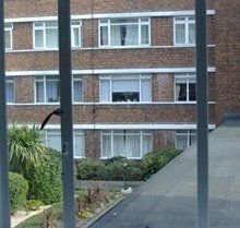 Big windows