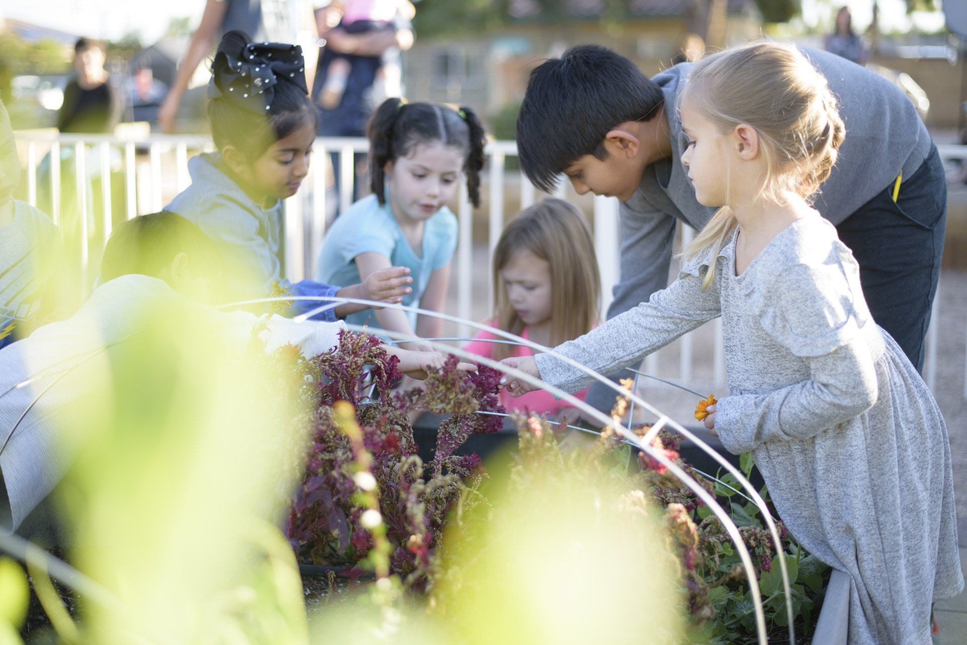 A group of children are looking at plants in a garden.