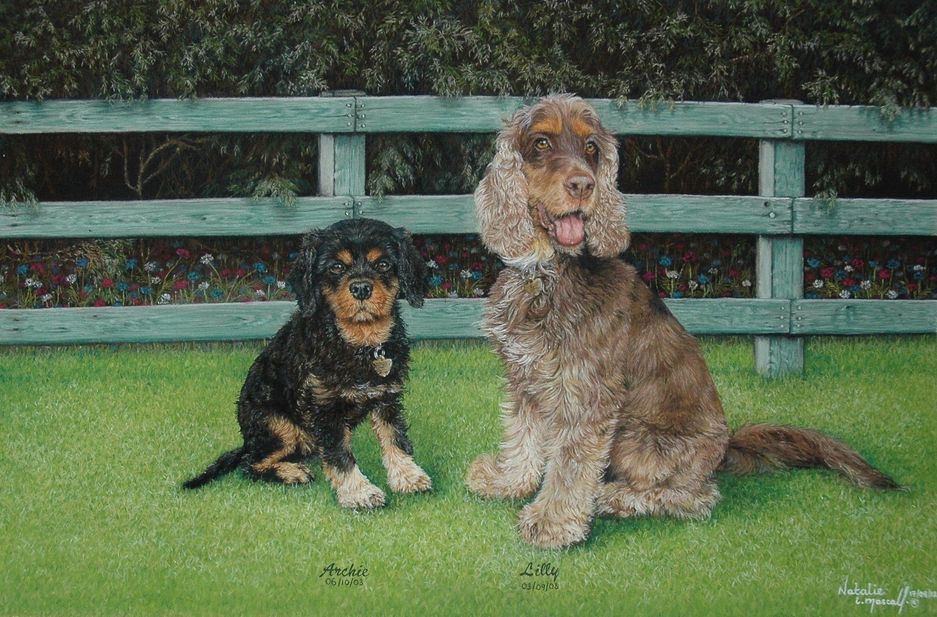 before and after creations, before and after photos of pet portraits, bespoke art, personalised art, personalised portraits, personalised wall art, personalised artwork, personalised drawings