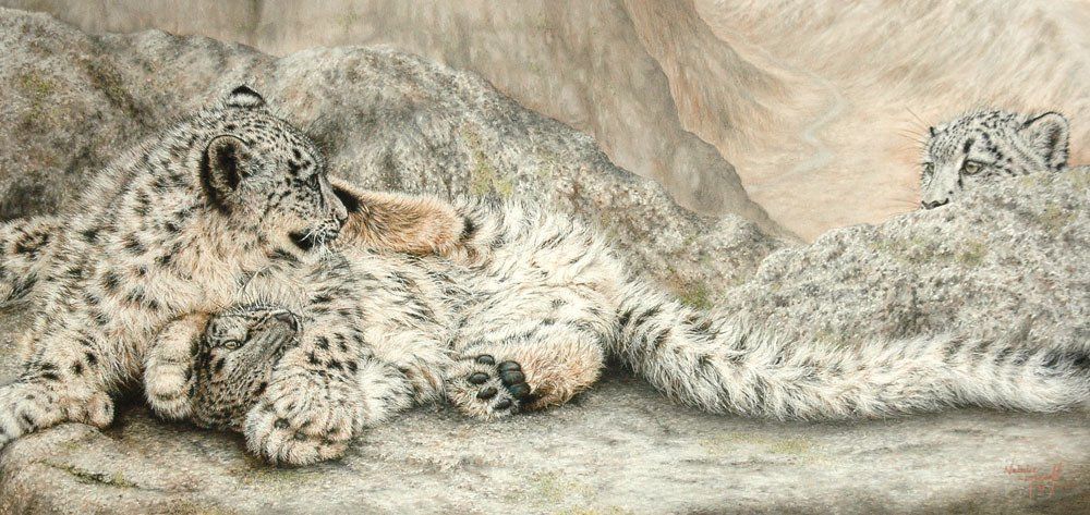 Snow leopard cubs, endangered species, the snow cat, snow leopard in art, pastel drawings of snow leopards, Orang-utan drawing by award winning wildlife artist Natalie Mascall, The Mara at Dusk drawn in pastel by award winning wildlife artist Natalie Mascall, drawn from her own photo reference she took in the Mara, Kenya. Lioness, sunset over the mara drawing. African art. Wildlife art. Big cat drawing, endangered species