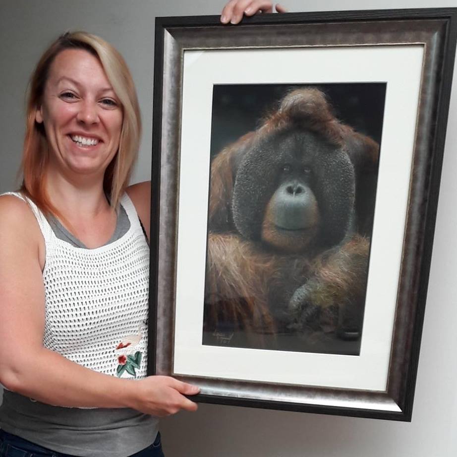 Colchester Zoo asked Natalie to draw orangutan Rajang artwork and prints to commemorate his 50th birthday, Colchester zoo commissions Natalie Mascall to draw Rajang, their orang-utan as he is turning 50, artwork to commemorate Rajangs 50th birthday at colchester zoo. Endangered species. Rajang ambassador for orang-utans in the world at colchester zoo.