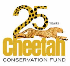 cheetah conservation fund, helping wildlife through art, cheetah, big cats,