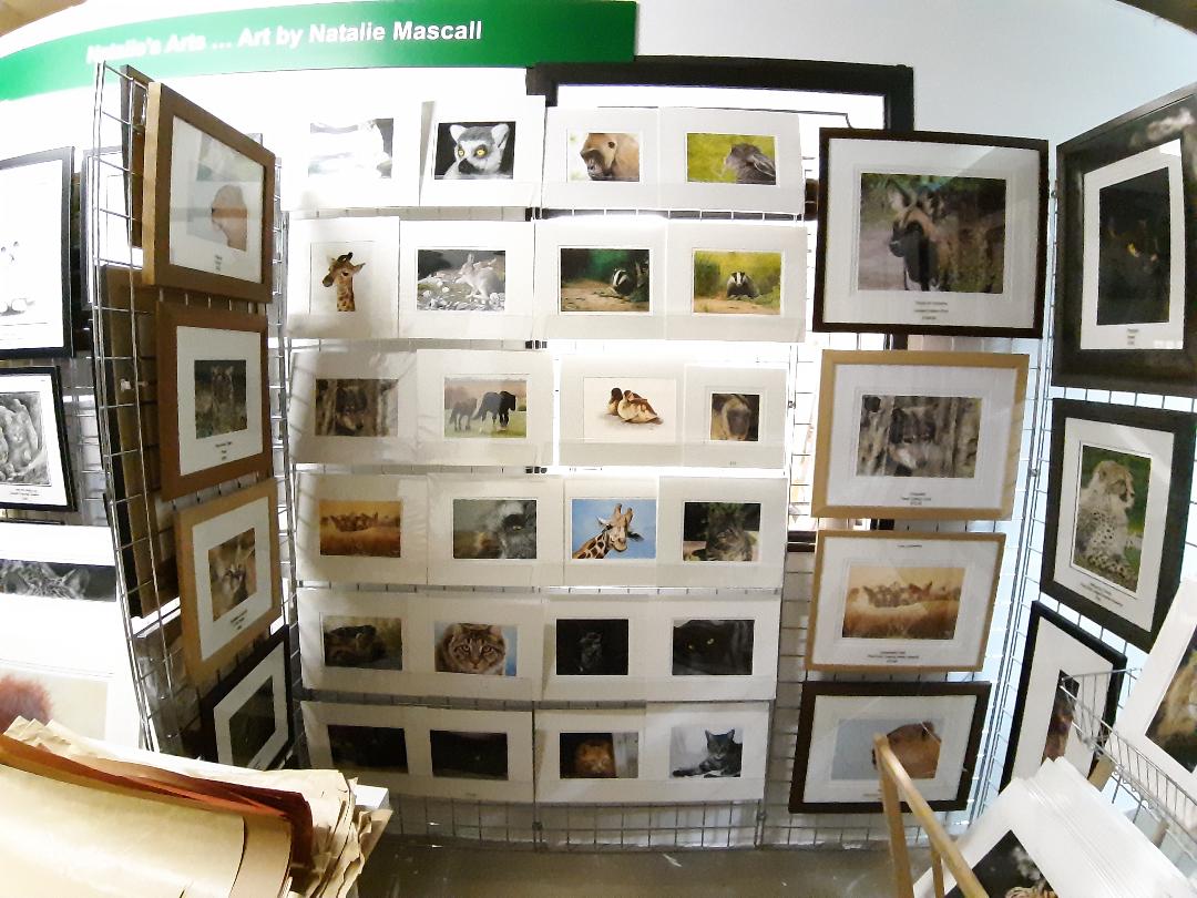Come meet and see Natalie's art at the Big cat sanctuary this year during open days 2024. Her first exhibition since covid.
