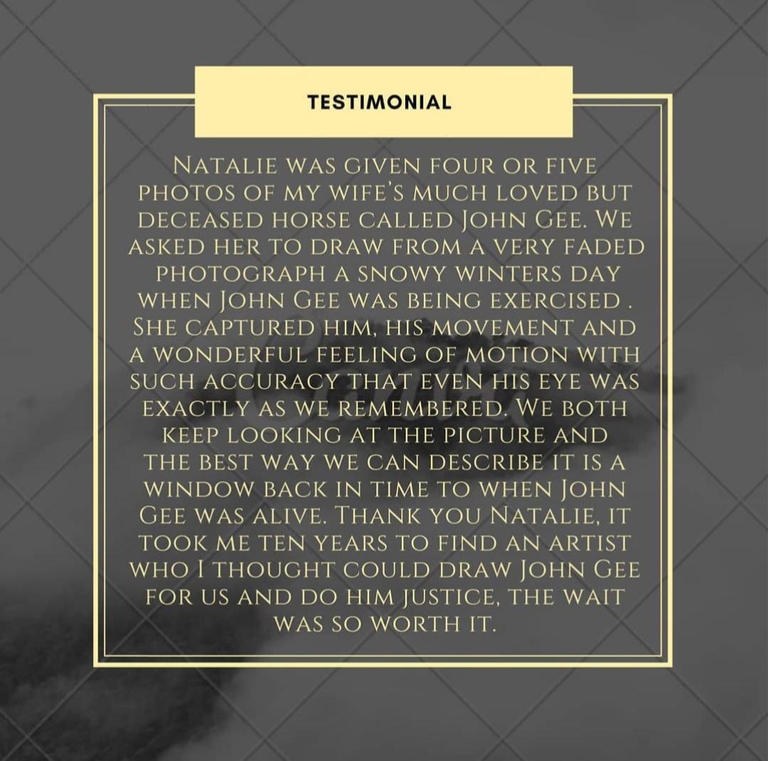 Natalie Mascalls testimonial for a commission undertaken, An amazing testimonial,