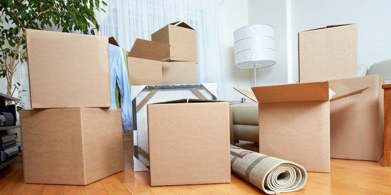 Packed cardboard moving boxes in a bright room, with a rolled rug on the floor.