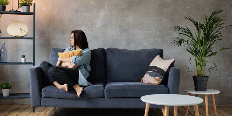 Person sitting on a blue sofa holding a cat in a modern living room
