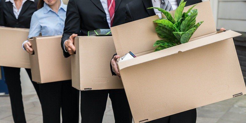 People carrying cardboard boxes in an office moving scene, with a potted plant in the front box