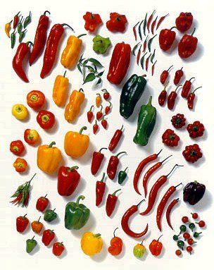 peperoncini piccanti