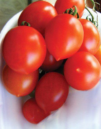 pomodoro vesuviano trendy f1