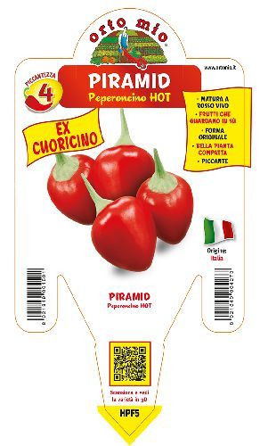 ORIGINE ITALIA