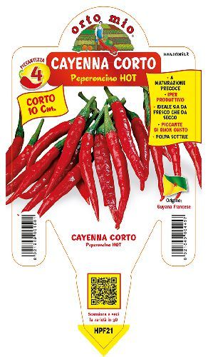 ORIGINE GUYANA FRANCESE