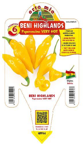 ORIGINE BOLIVIA