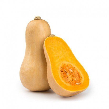 zucca butternut corta liscia f1