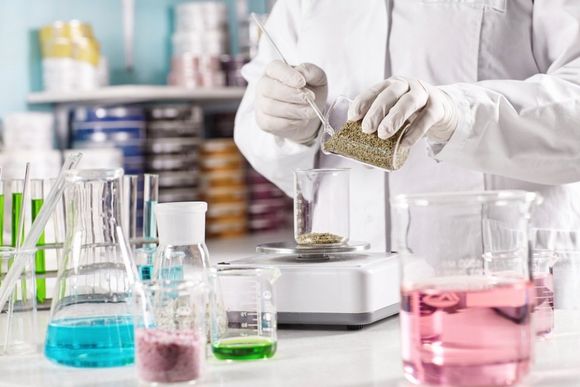 Analisi in laboratorio
