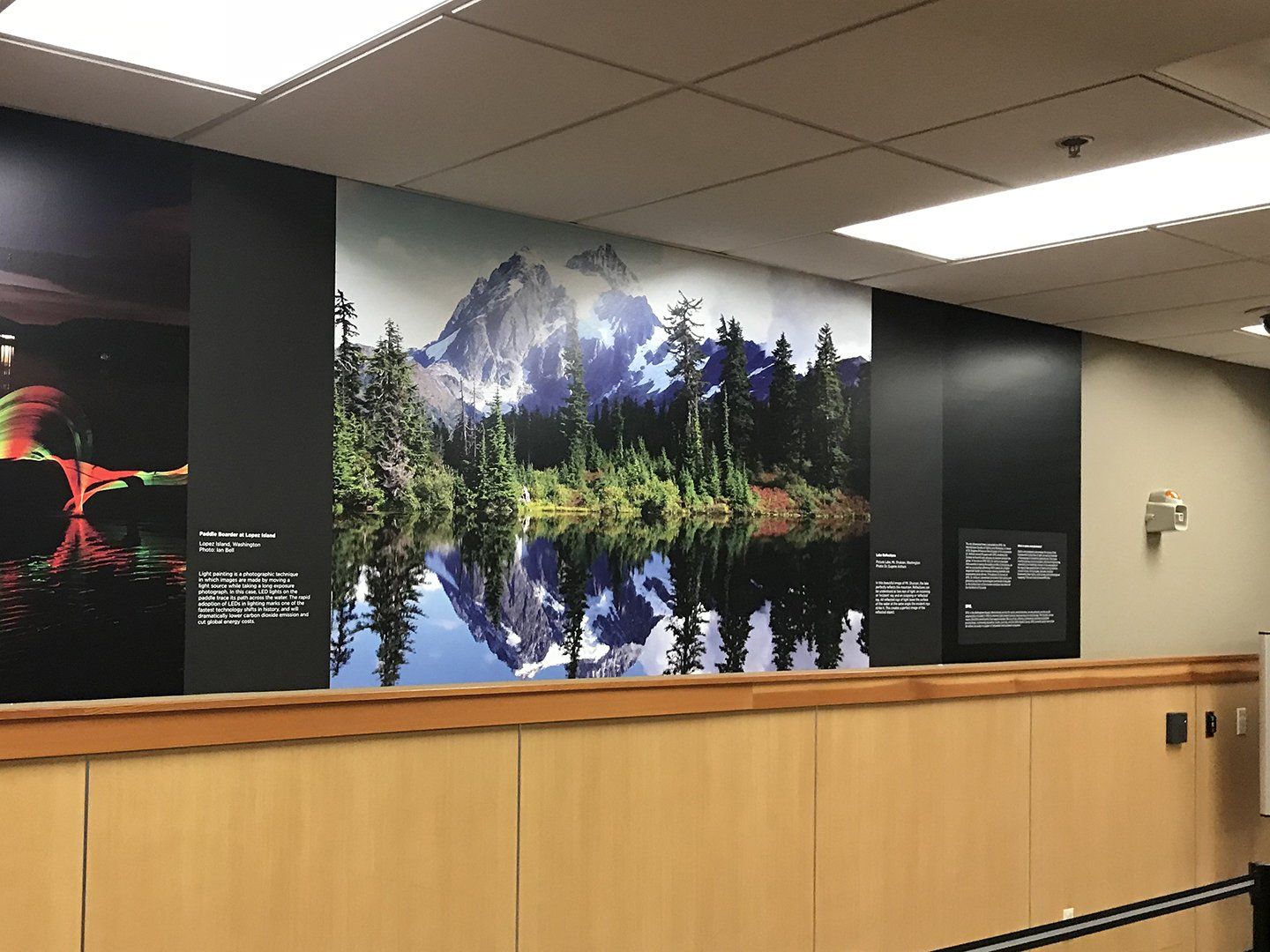 wall graphics