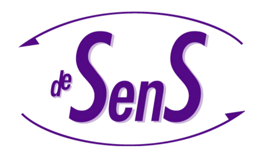de sens logo