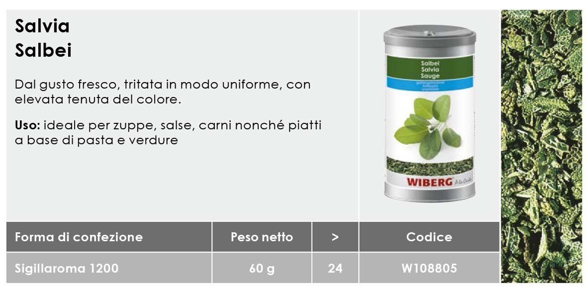 Salvia gr60