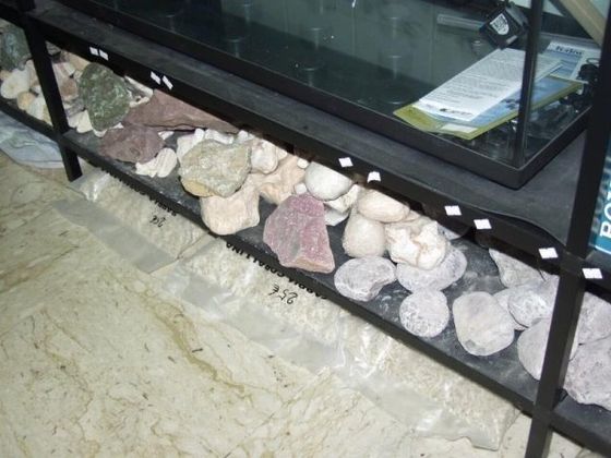 sassi da acquario