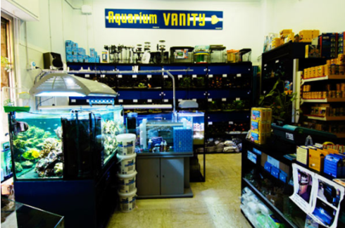 vista frontale del negozio Aquarium Vanity