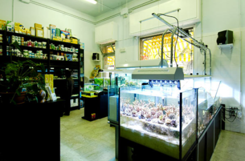 acquari tropicali e assortimento prodotti