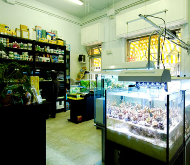 acquari tropicali e assortimento prodotti
