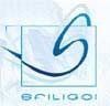 Eriligo logo