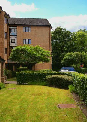 Pruning - Glasgow, Motherwell - Garden Care Landscapes - Grass cutting Grass cutting